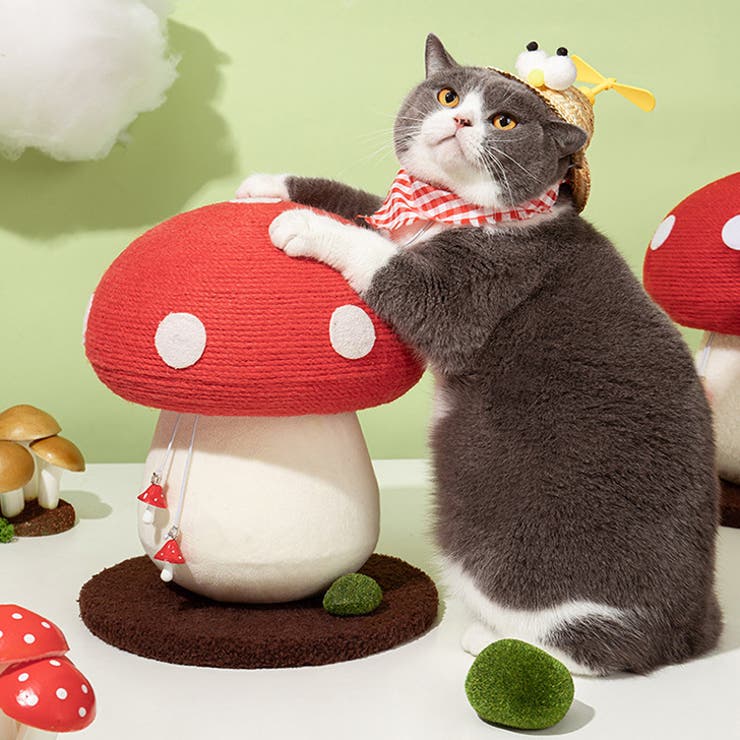 猫 つめとぎ 爪とぎ | REAL STYLE | 詳細画像8 