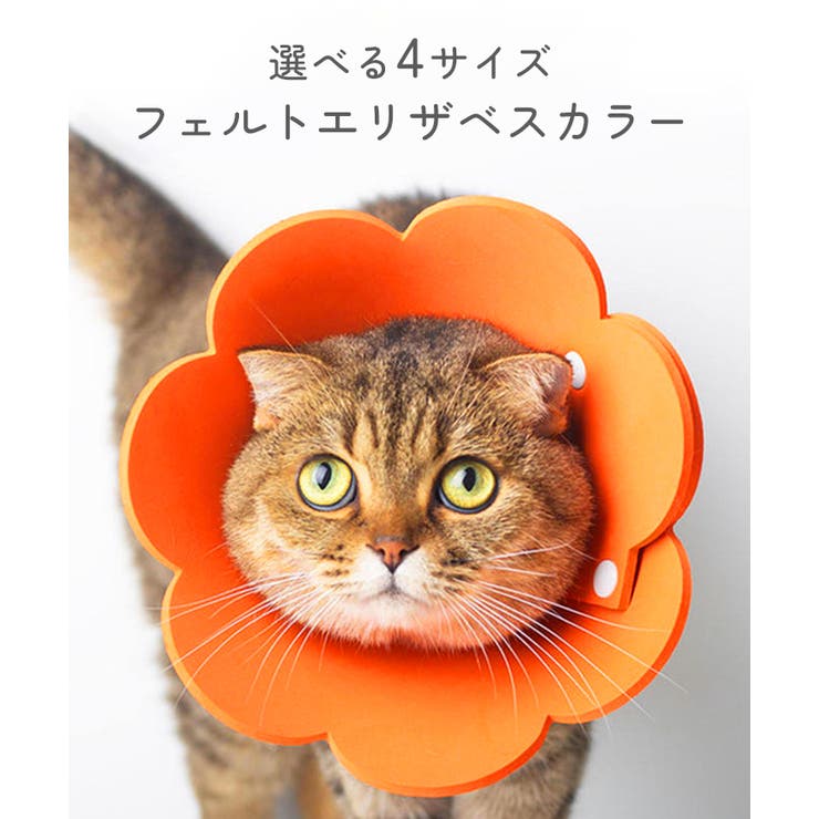 エリザベス様ご依頼用 アニサポ アイガード エリザベスカラー S/M （ Sサイズ ）(S): 500