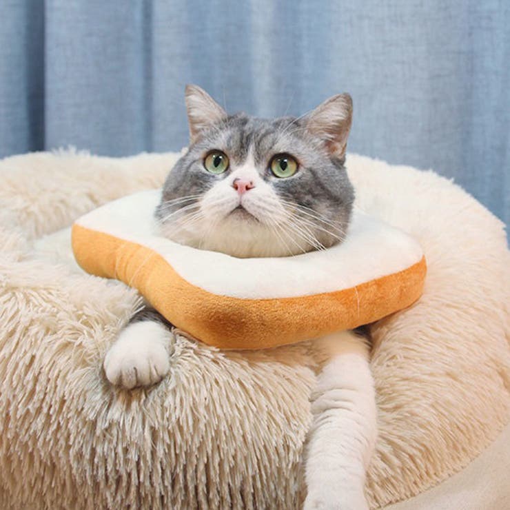 エリザベスカラー 猫 犬[品番：JOKW0015514]｜REAL STYLE