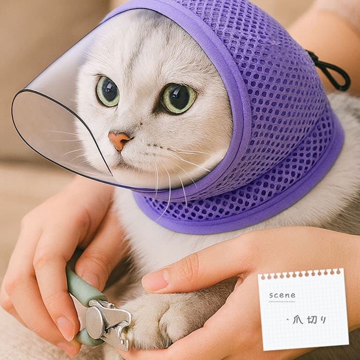 エリザベスカラー 猫 猫用マスク | REAL STYLE | 詳細画像5 