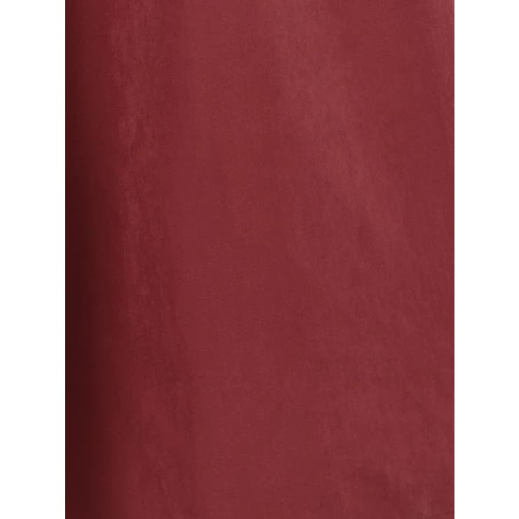 ベルト付きピーチ起毛タックワイドパンツ | Re-J＆SUPURE | 詳細画像56 