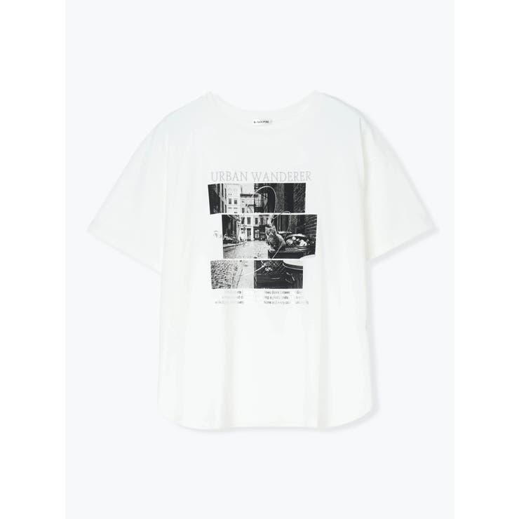 【キレサラ 機能Tシャツ】キャットフォトプリントTシャツ | Re-J＆SUPURE | 詳細画像28 