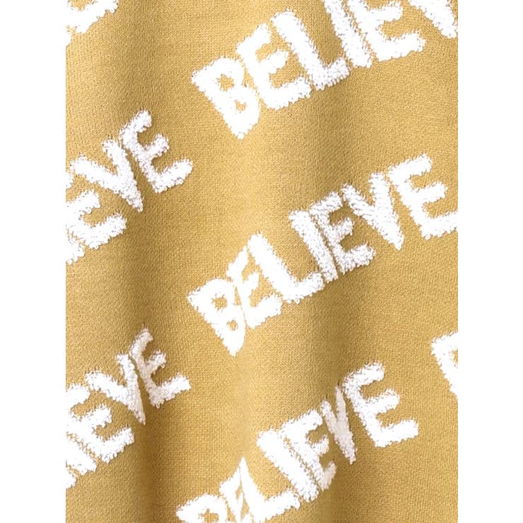 パイルロゴジャガードプルオーバー | LUDIC PARK | 詳細画像41 