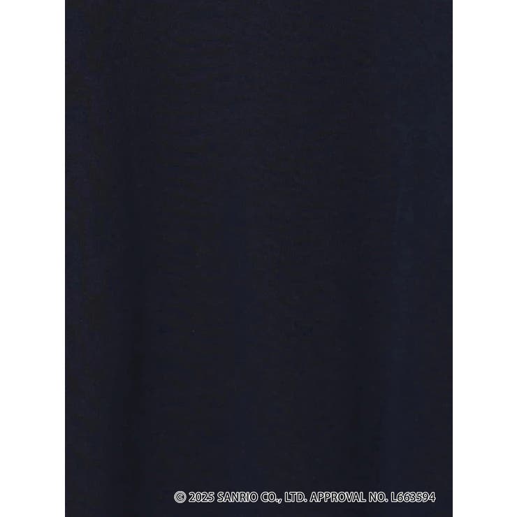 ハローキティ9連トレーナー | LUDIC PARK | 詳細画像31 