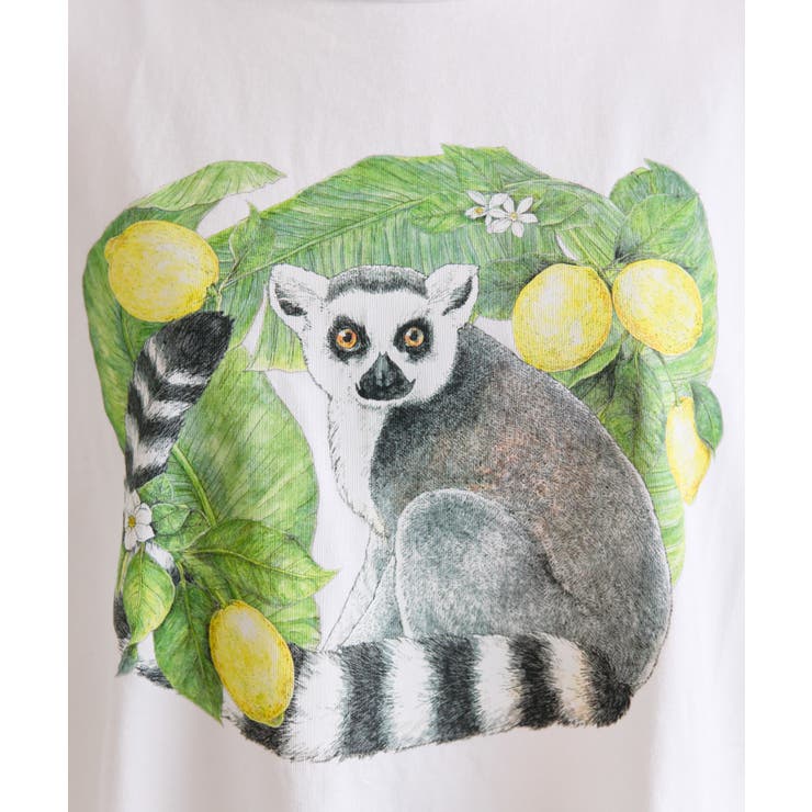 【ear PAPILLONNER】ワオキツネザルTシャツ | PAL GROUP OUTLET | 詳細画像8 