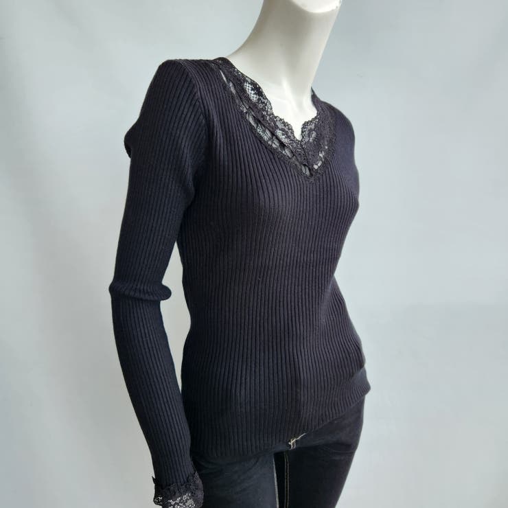 paloma wool 黒の透け感ニットトップス Vネック VitaFelice Vネックニット レディース トップス プルオーバー
