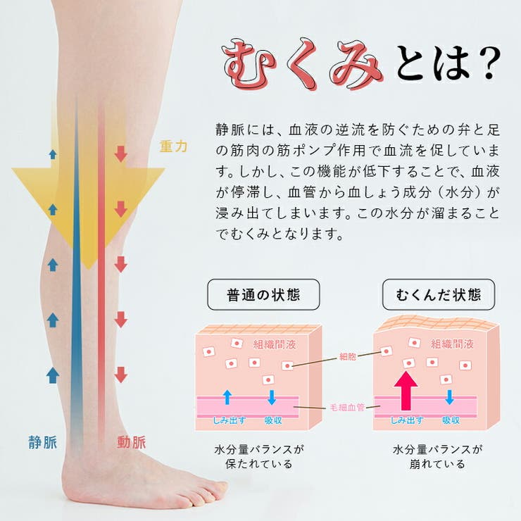 レッグウォーマー レディース 女性用 | パーティードレス通販 Precious Lady | 詳細画像10 