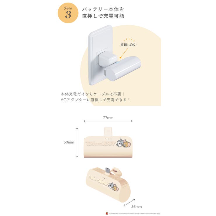 USB Type C | Premium Style | 詳細画像4 