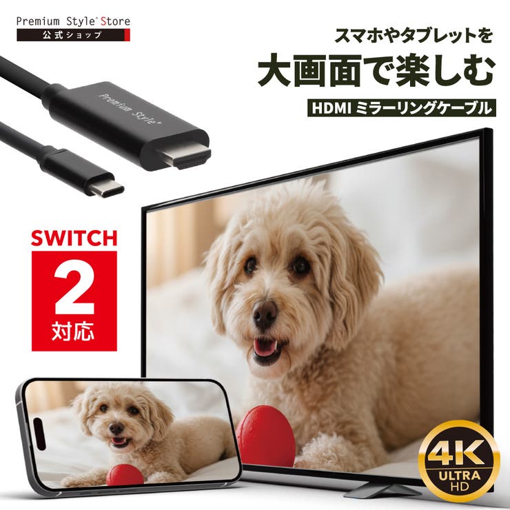インターネット動画配信 対応 USB | Premium Style | 詳細画像1 