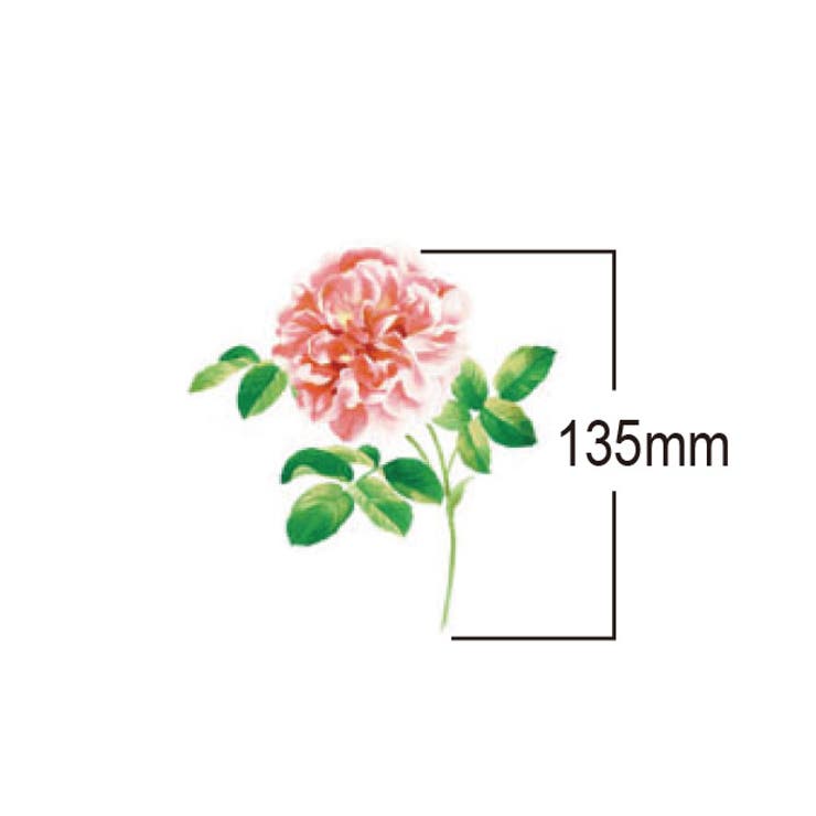 ウォールステッカー ガラス用シール ハウスジーダ | アクセサリーショップPIENA | 詳細画像6 