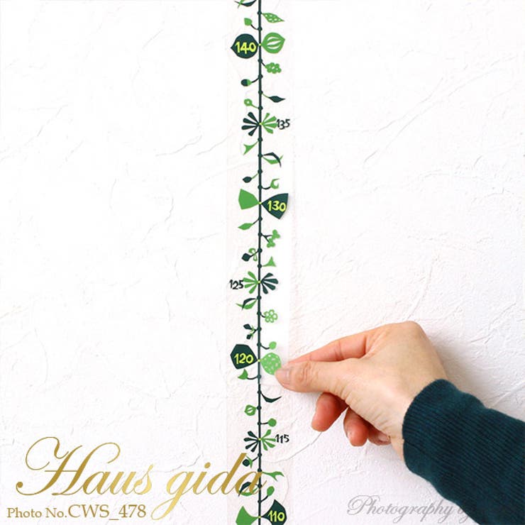 ウォールステッカー つる草の身長計 ハウスジーダ | アクセサリーショップPIENA | 詳細画像4 