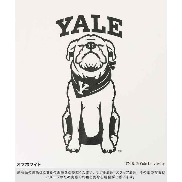[RASW]別注YALEドッグオーバーTシャツ