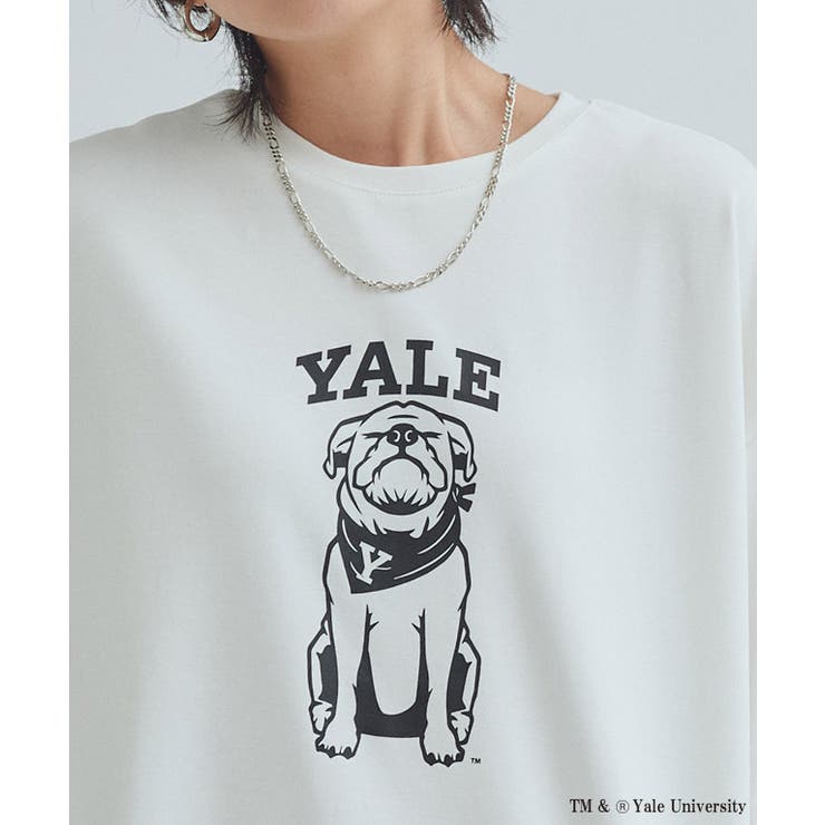 [RASW]別注YALEドッグオーバーTシャツ