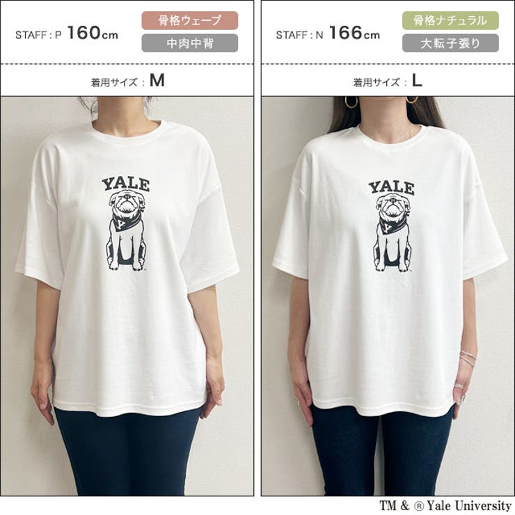 [RASW]別注YALEドッグオーバーTシャツ