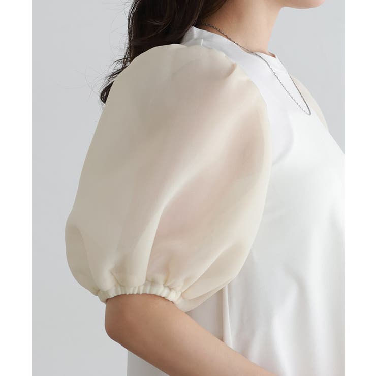 シアーダンボールドッキングフレアカットソー カットソー ダンボール素材 | Pierrot | 詳細画像5 