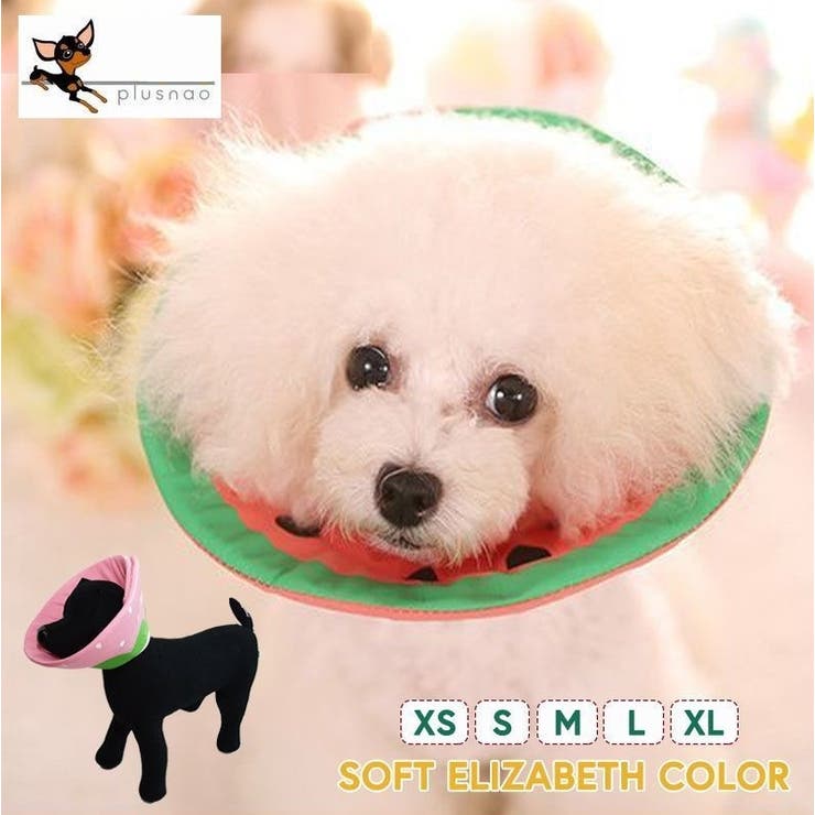 ペット用品 エリザベスカラー 犬 品番 Fq Plusnao プラスナオ のレディースファッション通販 Shoplist ショップリスト ペット用品 エリザベスカラー 犬 品番 Fq Plusnao プラスナオ のレディースファッション通販 Shoplist ショップリスト
