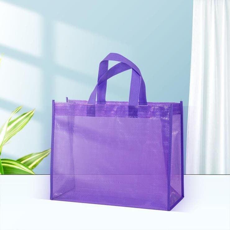 クリアバッグ 透明バッグ ビニールバッグ[品番：FQ000214641]｜PlusNao