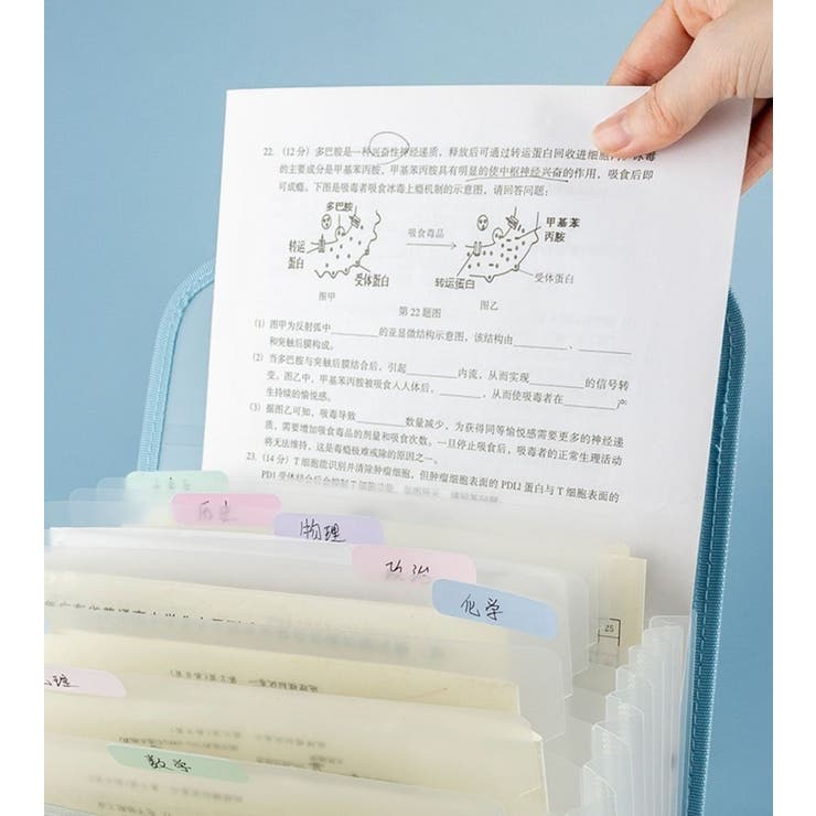 ファイルケース 書類ケース 持ち手付き | PlusNao | 詳細画像6 