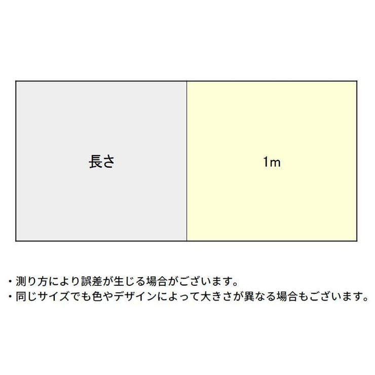 車用プロテクションフィルム 1m カー用品 | PlusNao | 詳細画像20 