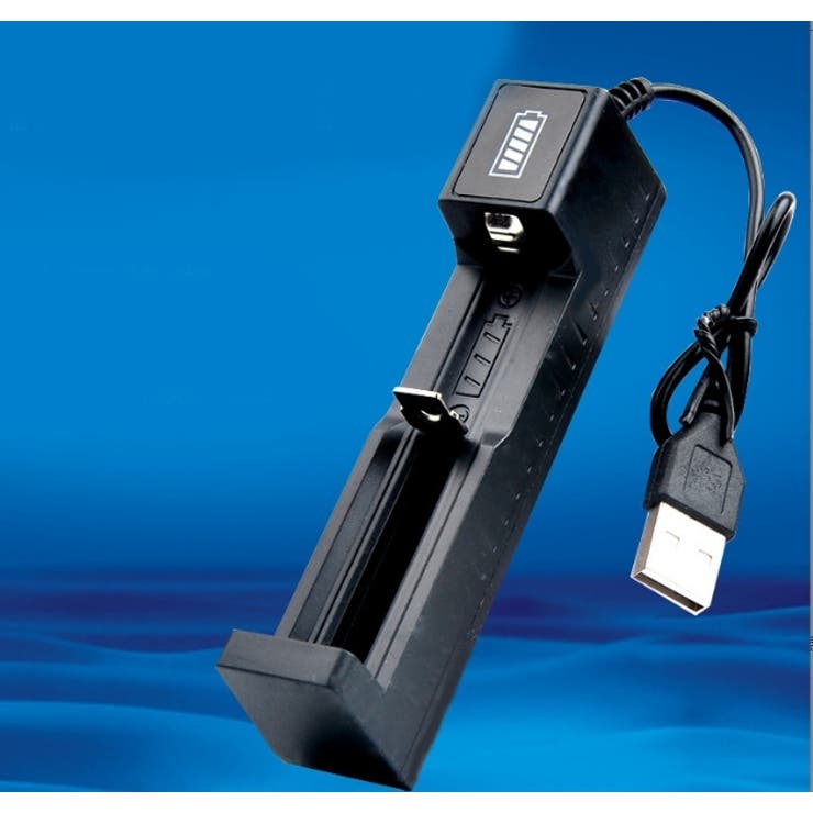 リチウム電池充電器 1本 USB | PlusNao | 詳細画像2 