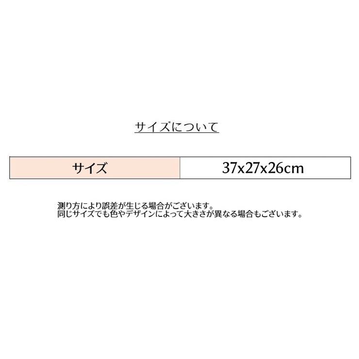 衣類収納ボックス 折りたたみ 衣装ケース | PlusNao | 詳細画像8 