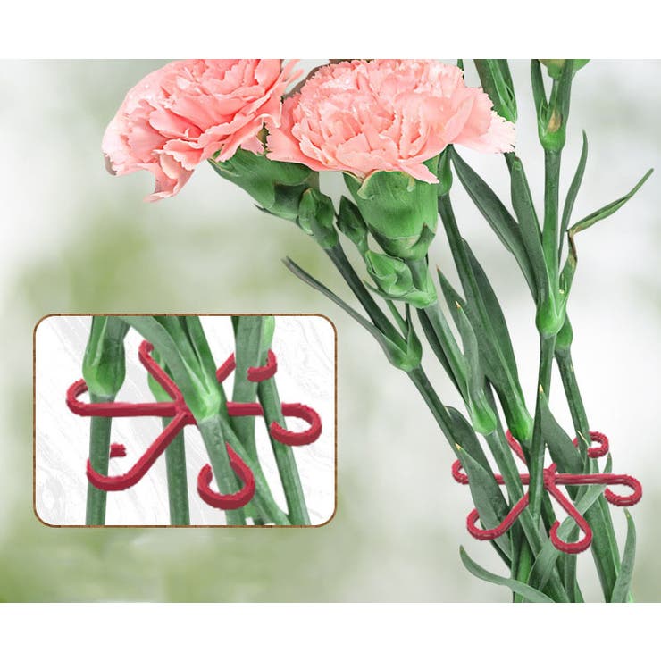 植物用ステムホルダー 植物サポーター 4個セット | PlusNao | 詳細画像3 