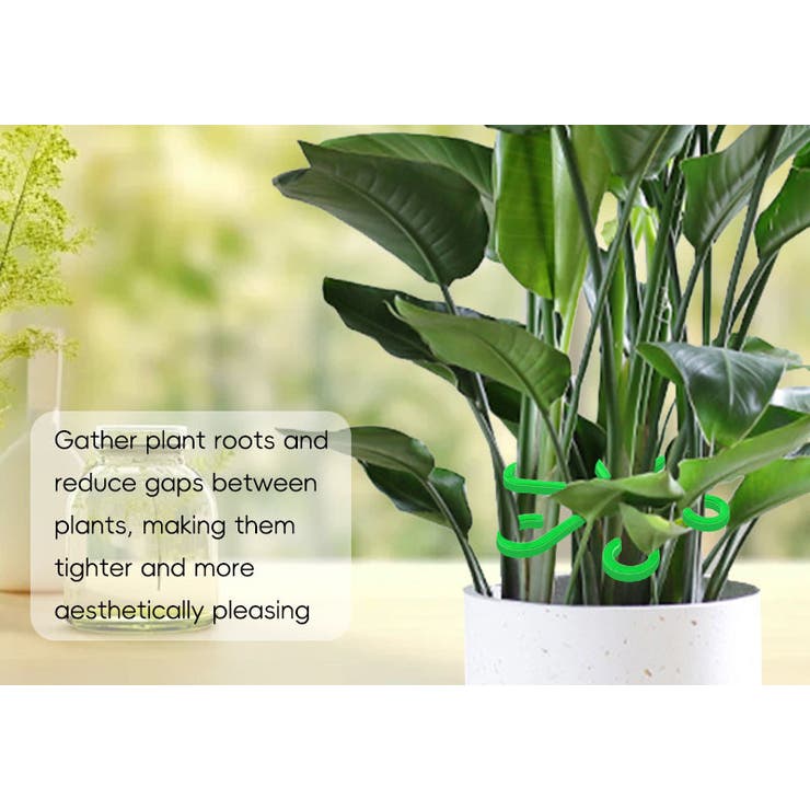 植物用ステムホルダー 植物サポーター 4個セット | PlusNao | 詳細画像4 
