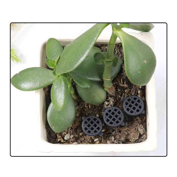 玉肥ホルダー 肥料バスケット 10個セット | PlusNao | 詳細画像2