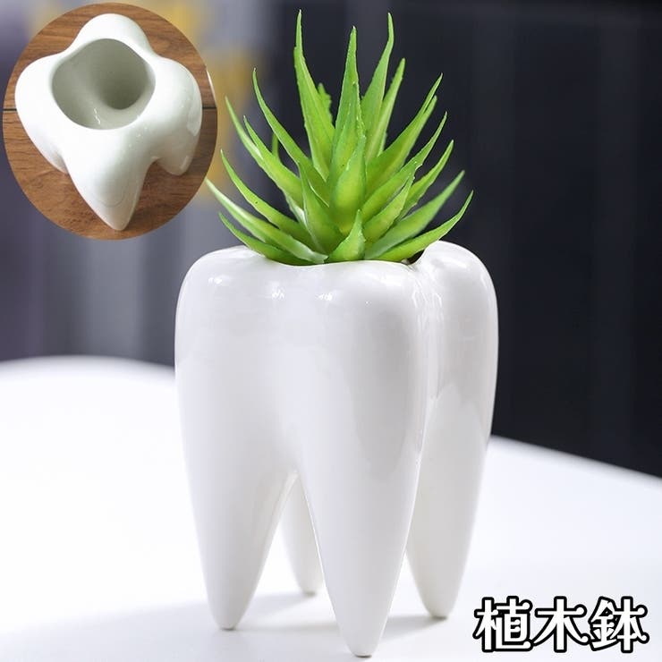 植木鉢 フラワーポット プランター | PlusNao | 詳細画像1 