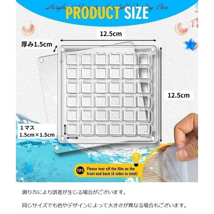 コレクションケース 貝殻 石 | PlusNao | 詳細画像10 