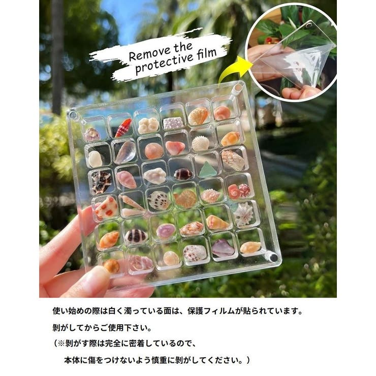 コレクションケース 貝殻 石 | PlusNao | 詳細画像4 