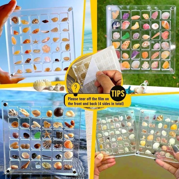 コレクションケース 貝殻 石 | PlusNao | 詳細画像5 