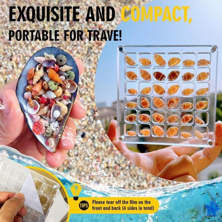 コレクションケース 貝殻 石 | PlusNao | 詳細画像6 