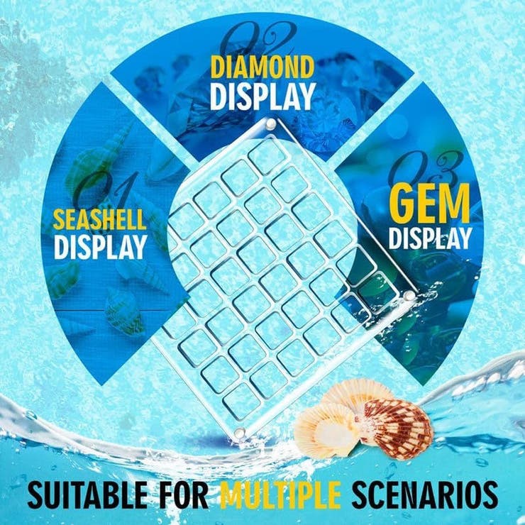 コレクションケース 貝殻 石 | PlusNao | 詳細画像7 