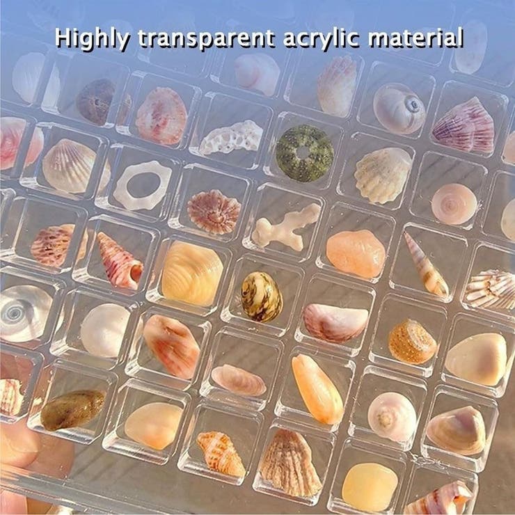 コレクションケース 貝殻 石 | PlusNao | 詳細画像8 