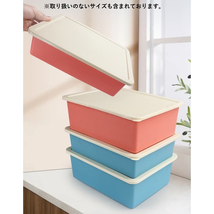 収納ボックス 収納ケース 蓋 | PlusNao | 詳細画像2 