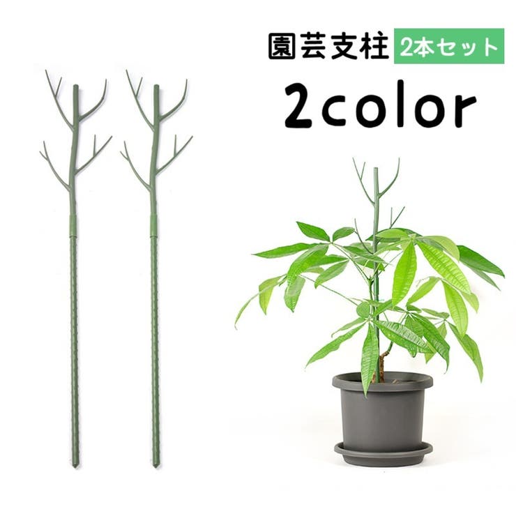 園芸支柱 2本セット 70cm | PlusNao | 詳細画像1 
