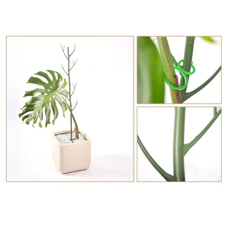 園芸支柱 2本セット 70cm | PlusNao | 詳細画像5 