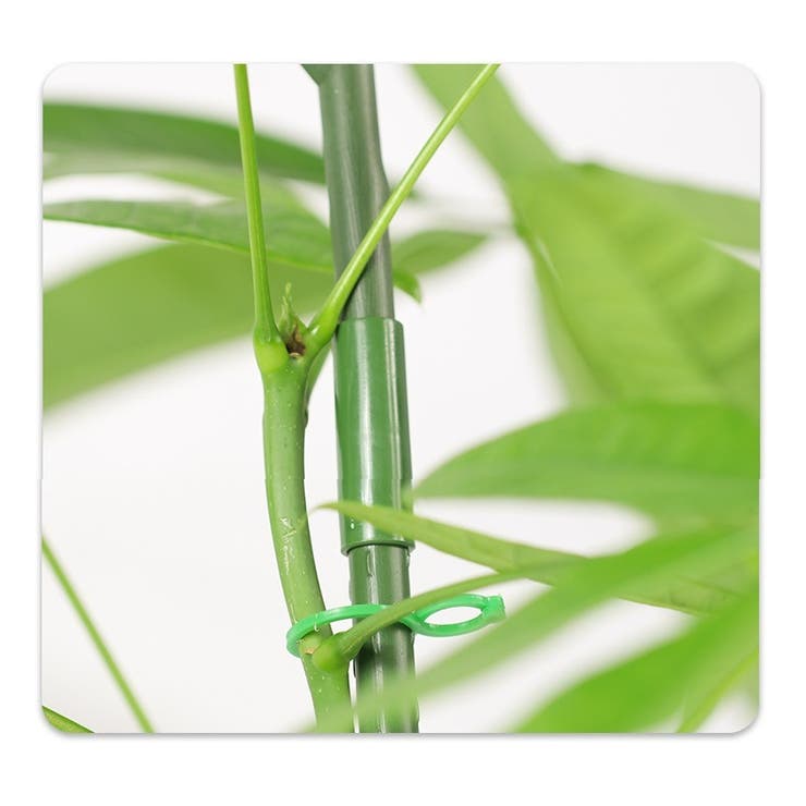 園芸支柱 2本セット 70cm | PlusNao | 詳細画像7 