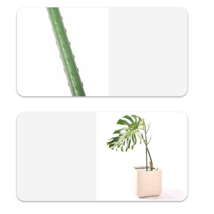 園芸支柱 2本セット 70cm | PlusNao | 詳細画像8 