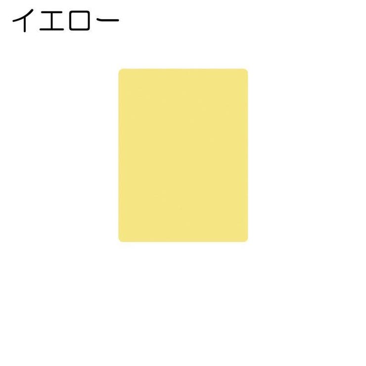 フェイクスキン 人工皮膚 2枚セット | PlusNao | 詳細画像12 