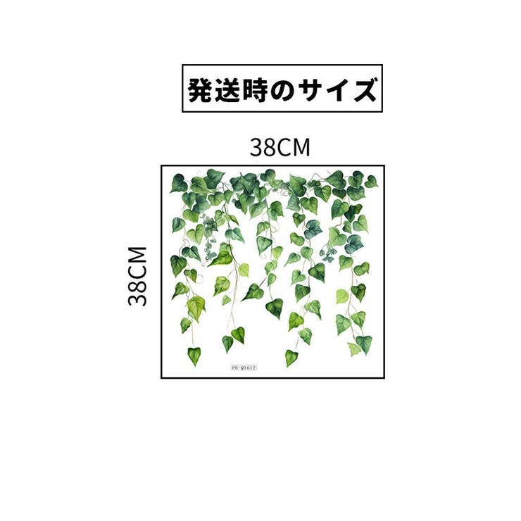 ウォールステッカー 壁ステッカー インテリア | PlusNao | 詳細画像10 