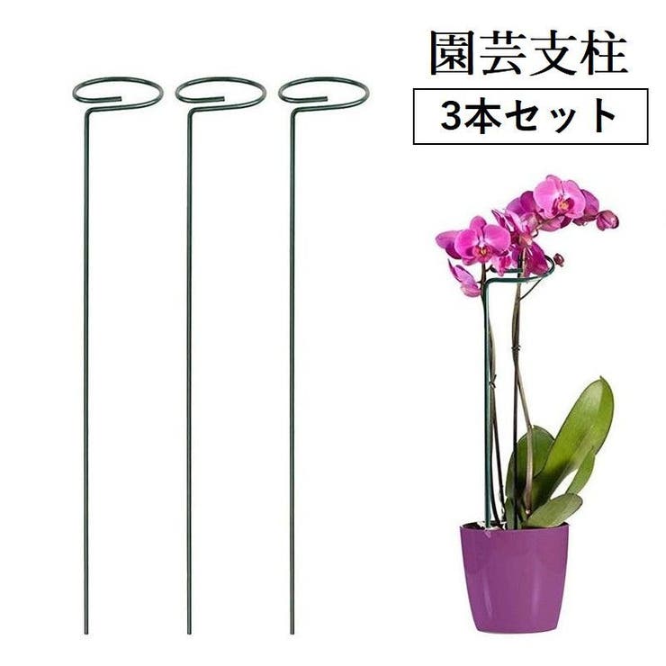 園芸支柱 3本セット 誘引 | PlusNao | 詳細画像1