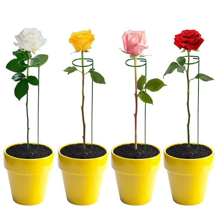 園芸支柱 3本セット 誘引 | PlusNao | 詳細画像2