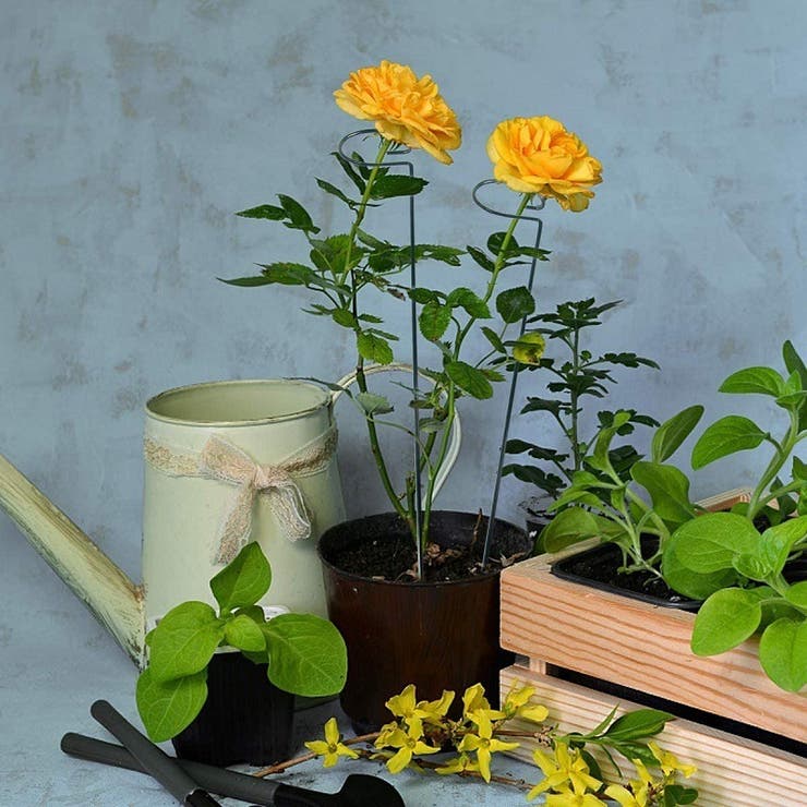 園芸支柱 3本セット 誘引 | PlusNao | 詳細画像5