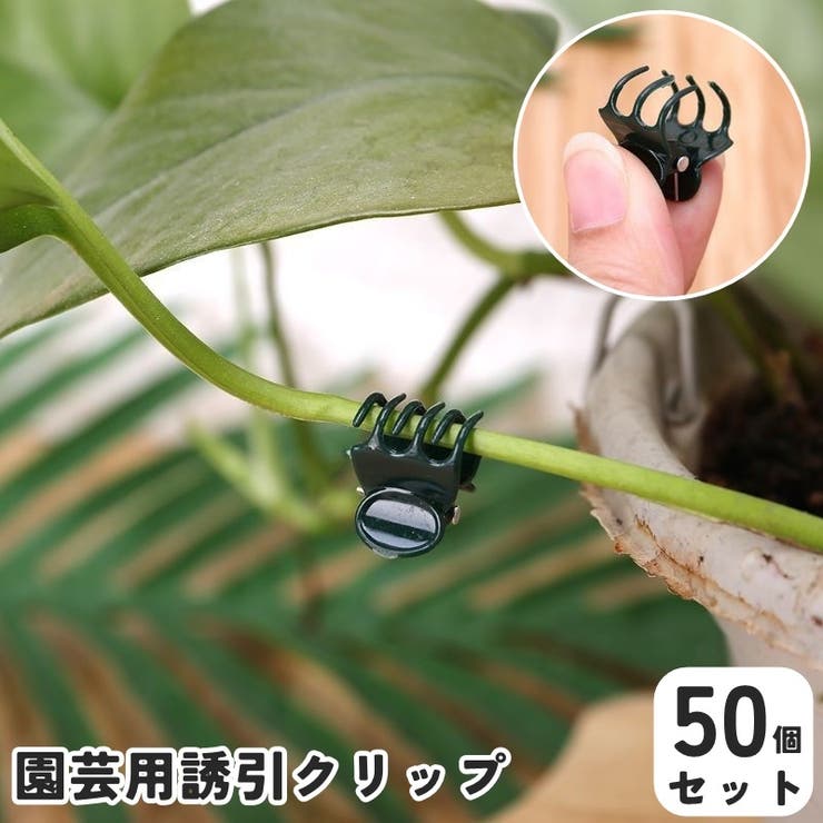園芸クリップ 誘引クリップ 50個セット | PlusNao | 詳細画像1 