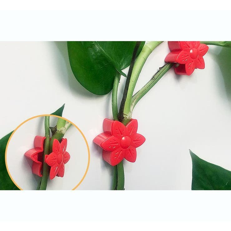 誘引クリップ 10個セット 園芸クリップ | PlusNao | 詳細画像11 