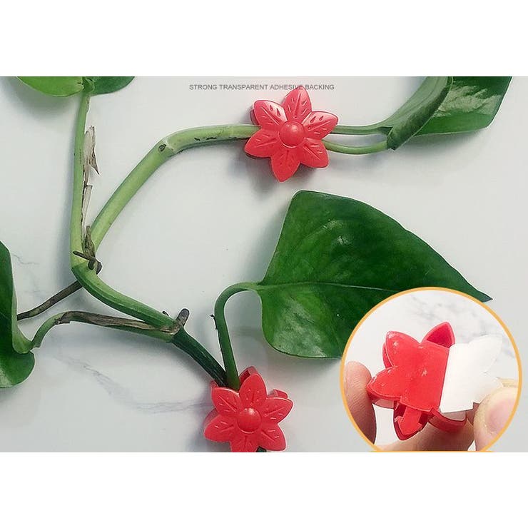 誘引クリップ 10個セット 園芸クリップ | PlusNao | 詳細画像12 