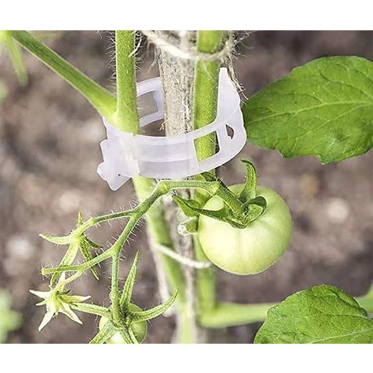 園芸用クリップ 誘引クリップ 100個入り | PlusNao | 詳細画像4 