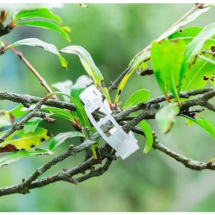 園芸用クリップ 誘引クリップ 100個入り | PlusNao | 詳細画像5 